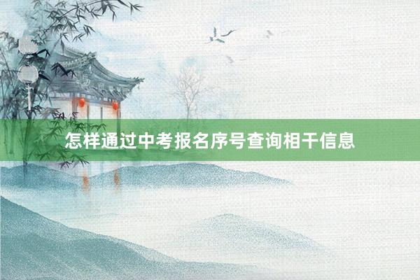 怎样通过中考报名序号查询相干信息
